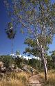 RWT 0096 097-20 Australia Katherine Gorge 2